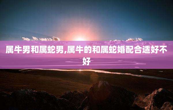 属牛男和属蛇男,属牛的和属蛇婚配合适好不好