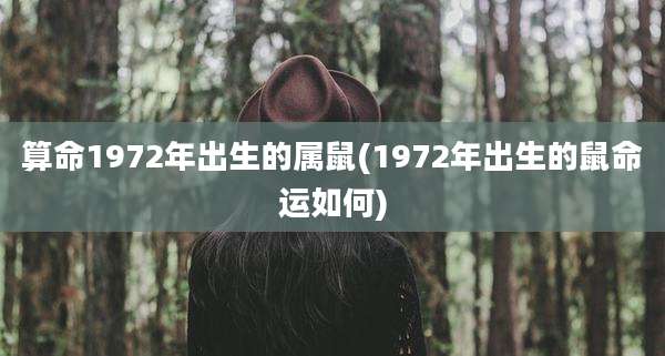 算命1972年出生的属鼠(1972年出生的鼠命运如何)