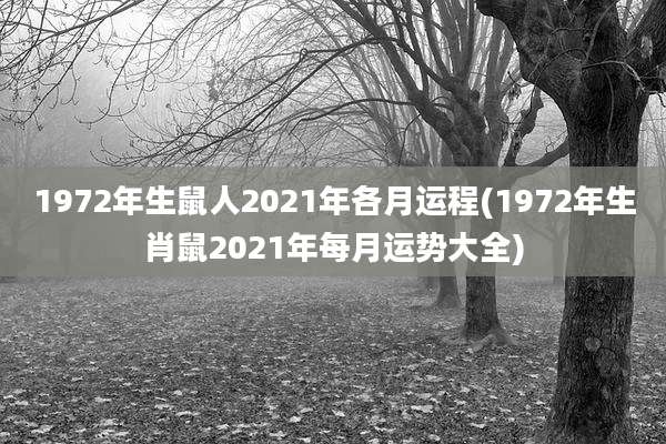 1972年生鼠人2021年各月运程(1972年生肖鼠2021年每月运势大全)