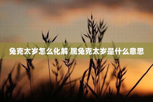 兔克太岁怎么化解 属兔克太岁是什么意思