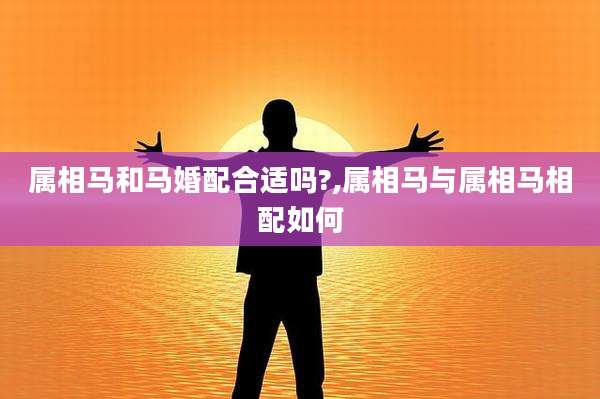 属相马和马婚配合适吗?,属相马与属相马相配如何