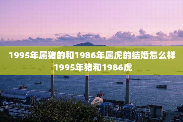 1995年属猪的和1986年属虎的结婚怎么样 1995年猪和1986虎