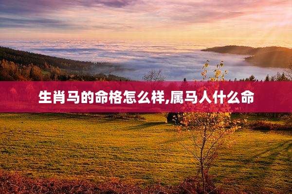 生肖马的命格怎么样,属马人什么命