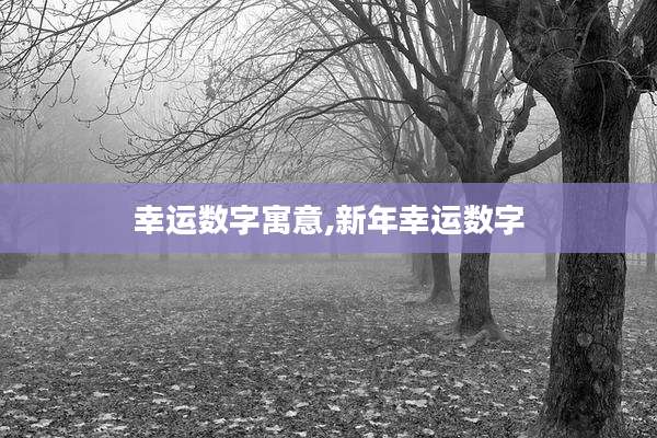 幸运数字寓意,新年幸运数字