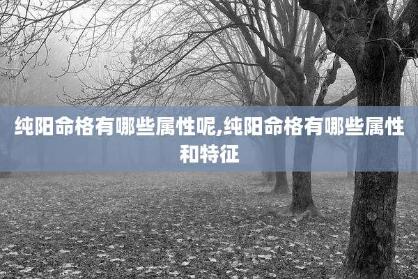 纯阳命格有哪些属性呢,纯阳命格有哪些属性和特征