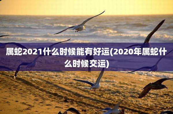属蛇2021什么时候能有好运(2020年属蛇什么时候交运)