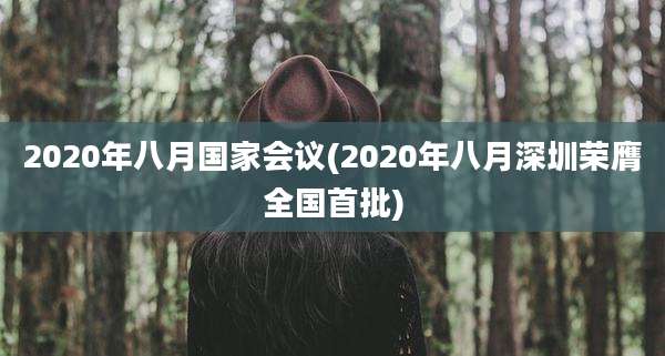 2020年八月国家会议(2020年八月深圳荣膺全国首批)