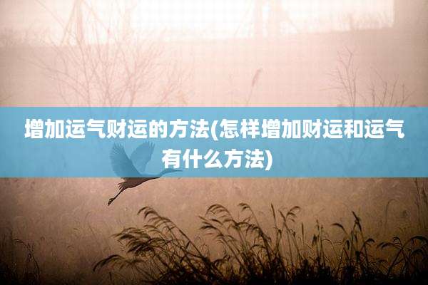 增加运气财运的方法(怎样增加财运和运气 有什么方法)