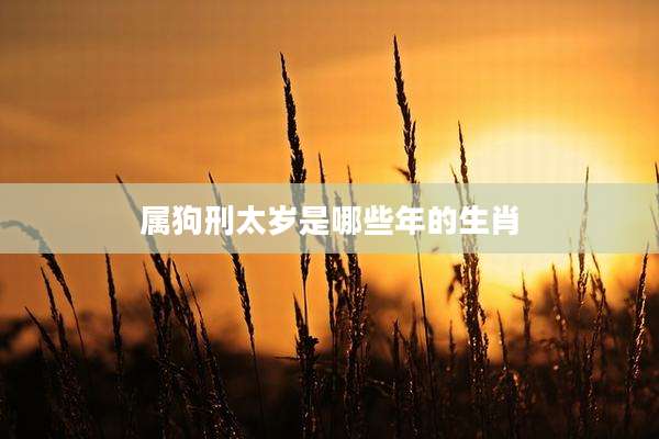 属狗刑太岁是哪些年的生肖