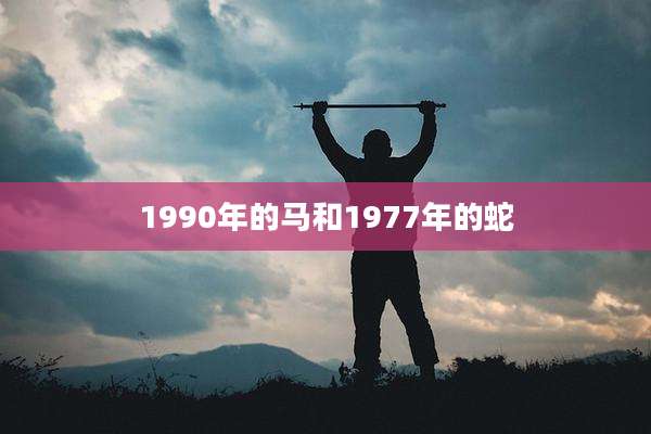 1990年的马和1977年的蛇