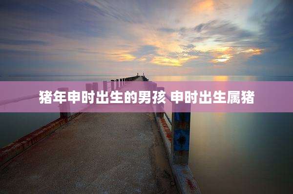 猪年申时出生的男孩 申时出生属猪