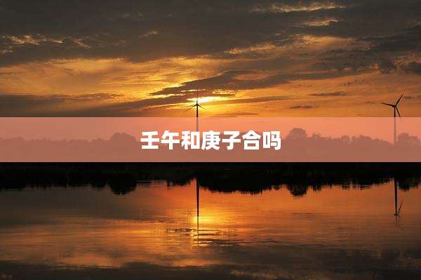 壬午和庚子合吗