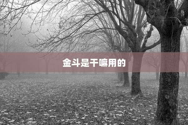 金斗是干嘛用的