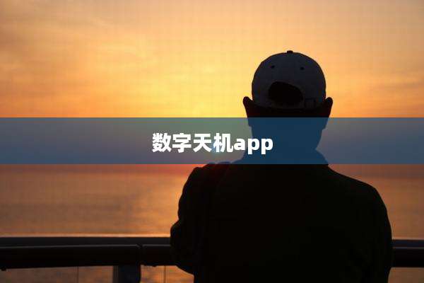 数字天机app