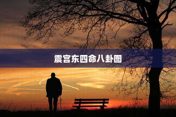 震宫东四命八卦图