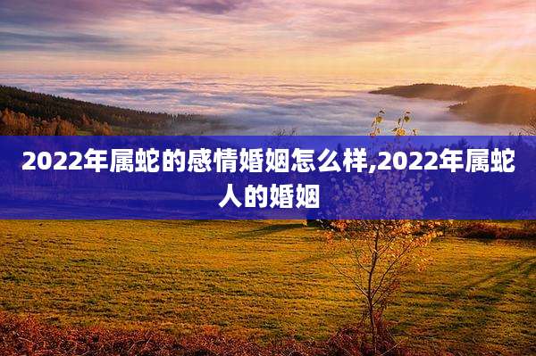 2022年属蛇的感情婚姻怎么样,2022年属蛇人的婚姻