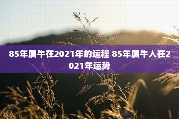 85年属牛在2021年的运程 85年属牛人在2021年运势