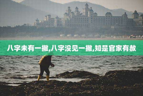 八字未有一撇,八字没见一撇,知是官家有赦