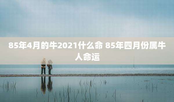 85年4月的牛2021什么命 85年四月份属牛人命运