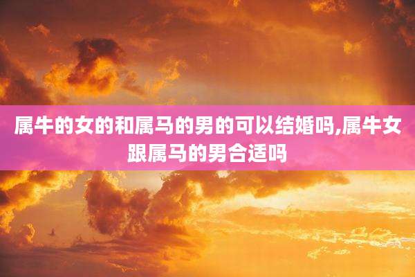 属牛的女的和属马的男的可以结婚吗,属牛女跟属马的男合适吗