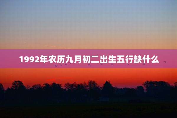 1992年农历九月初二出生五行缺什么