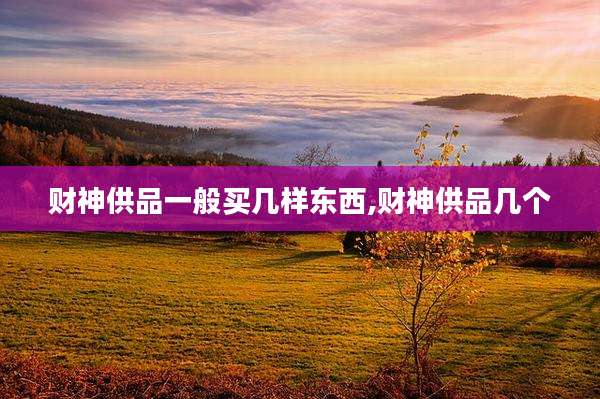 财神供品一般买几样东西,财神供品几个
