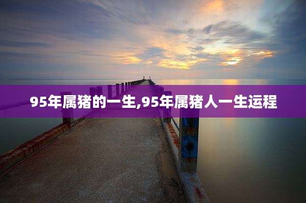 95年属猪的一生,95年属猪人一生运程