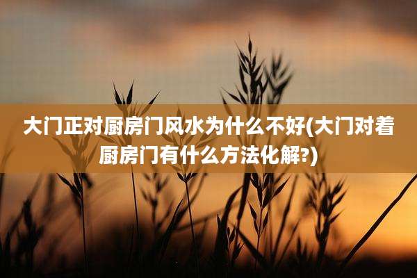 大门正对厨房门风水为什么不好(大门对着厨房门有什么方法化解?)