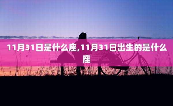 11月31日是什么座,11月31日出生的是什么座