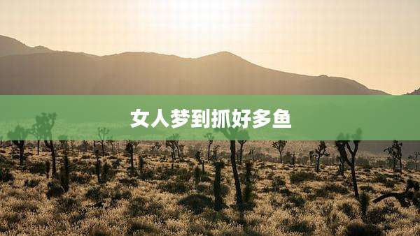 女人梦到抓好多鱼