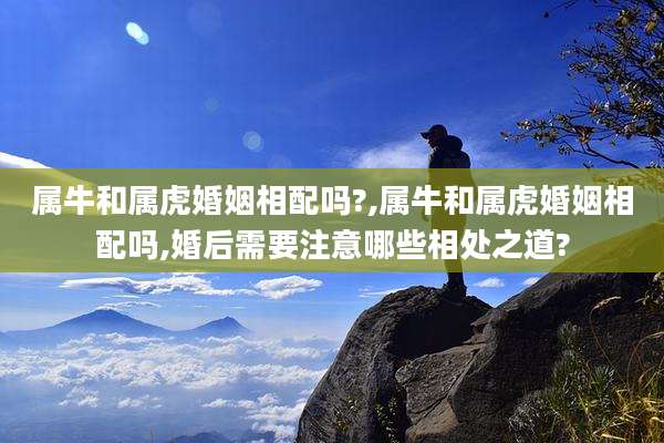 属牛和属虎婚姻相配吗?,属牛和属虎婚姻相配吗,婚后需要注意哪些相处之道?