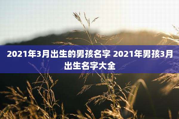2021年3月出生的男孩名字 2021年男孩3月出生名字大全