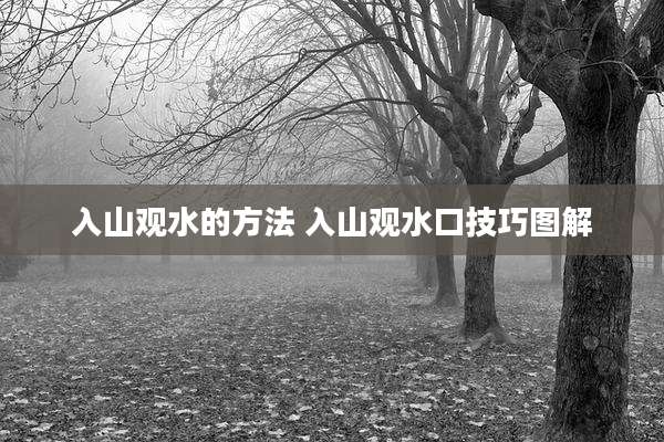 入山观水的方法 入山观水口技巧图解