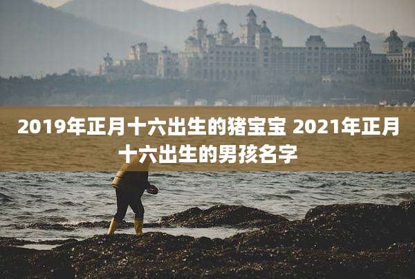 2019年正月十六出生的猪宝宝 2021年正月十六出生的男孩名字