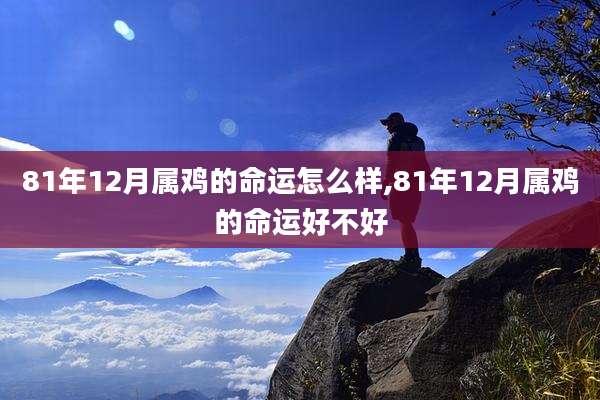 81年12月属鸡的命运怎么样,81年12月属鸡的命运好不好
