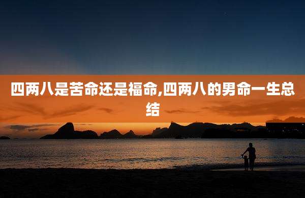 四两八是苦命还是福命,四两八的男命一生总结