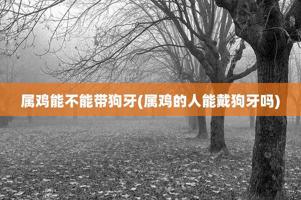 属鸡能不能带狗牙(属鸡的人能戴狗牙吗)