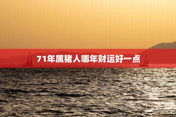 71年属猪人哪年财运好一点