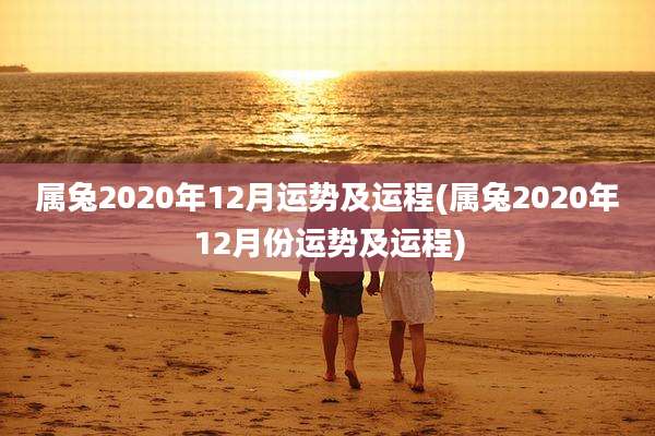 属兔2020年12月运势及运程(属兔2020年12月份运势及运程)
