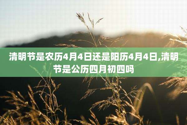 清明节是农历4月4日还是阳历4月4日,清明节是公历四月初四吗