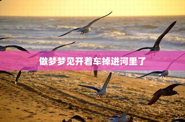 做梦梦见开着车掉进河里了