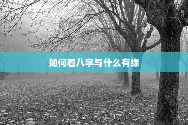 如何看八字与什么有缘