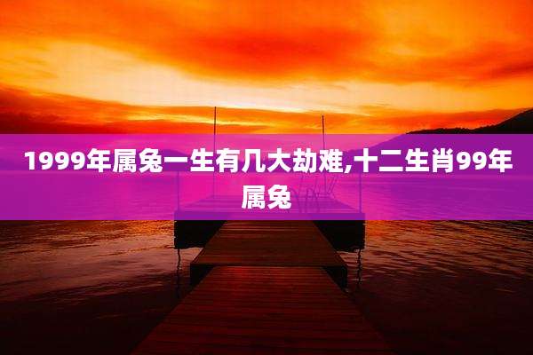 1999年属兔一生有几大劫难,十二生肖99年属兔