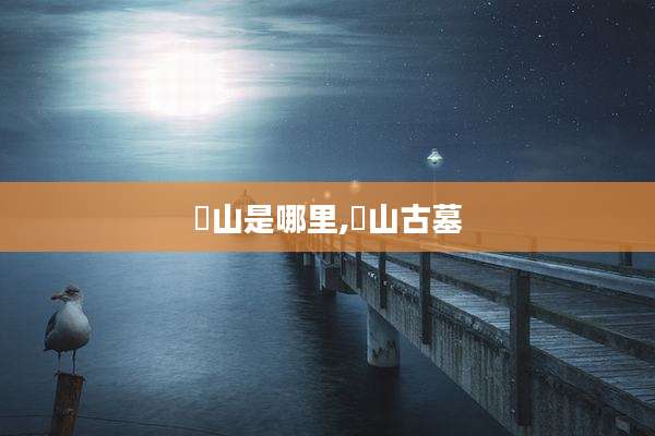 奓山是哪里,甁山古墓