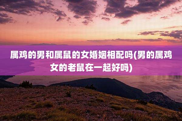 属鸡的男和属鼠的女婚姻相配吗(男的属鸡女的老鼠在一起好吗)