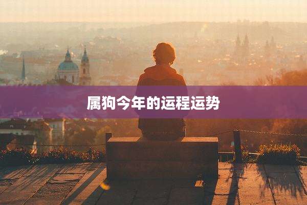 属狗今年的运程运势