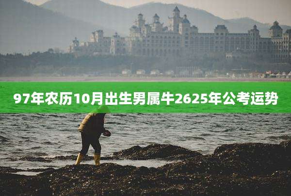97年农历10月出生男属牛2625年公考运势