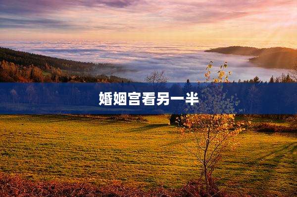 婚姻宫看另一半
