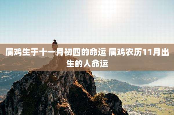 属鸡生于十一月初四的命运 属鸡农历11月出生的人命运