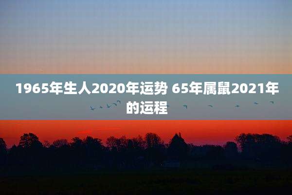 1965年生人2020年运势 65年属鼠2021年的运程